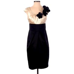 London Times  cocktail 🍹 dress 👗 champagne & black size 6 brand new with tags